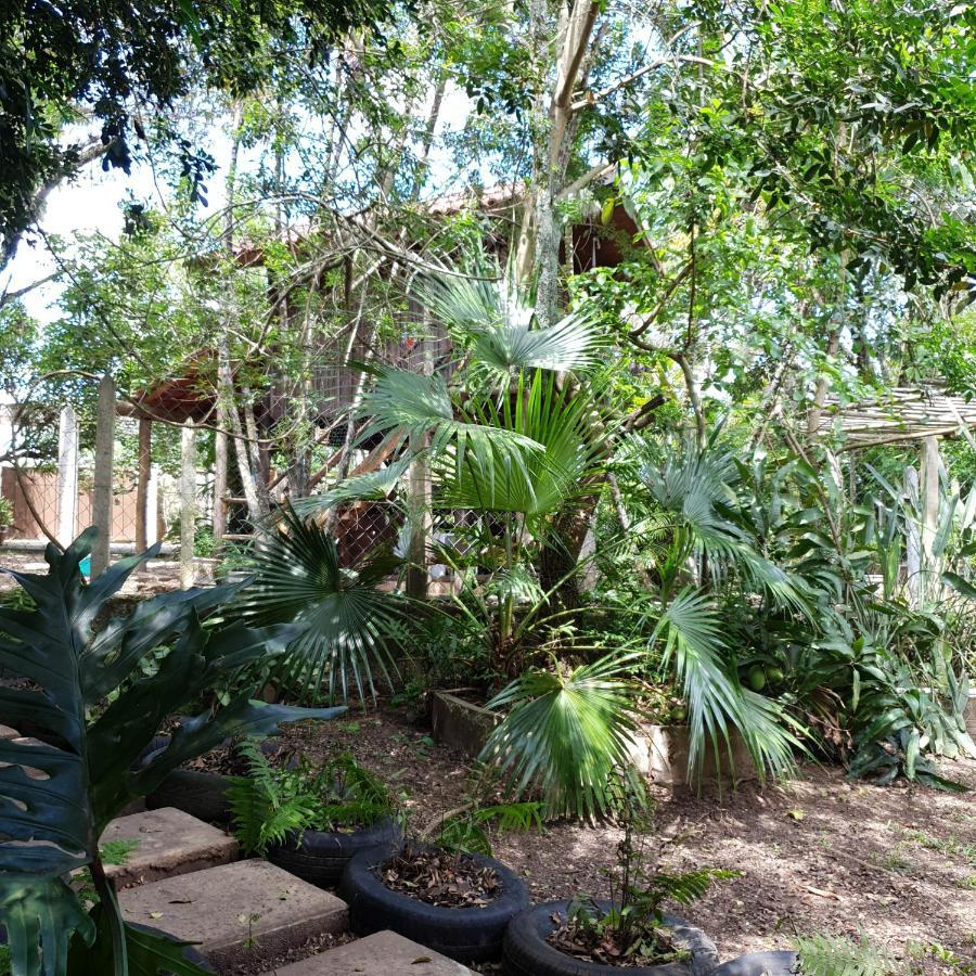 Ecocentro Brasil - Espaço Ecológico Sao Pedro (Sao Paulo) Exterior foto